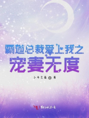 霸道总裁爱上我之宠妻无度