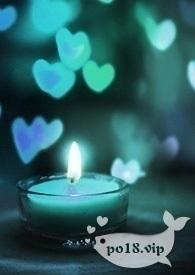 《裙下之臣》bdsm，纯百，