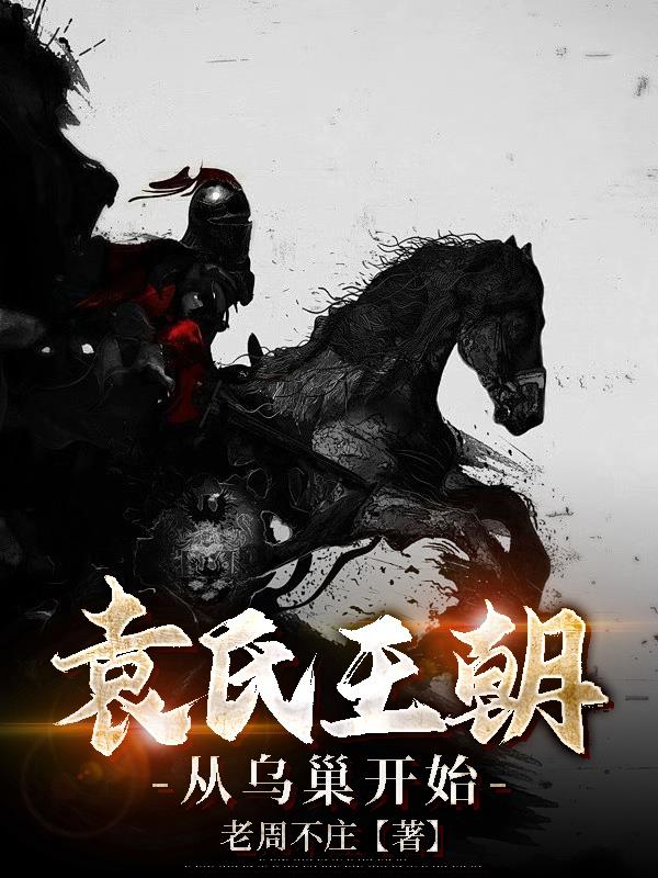 袁氏王朝：从乌巢开始