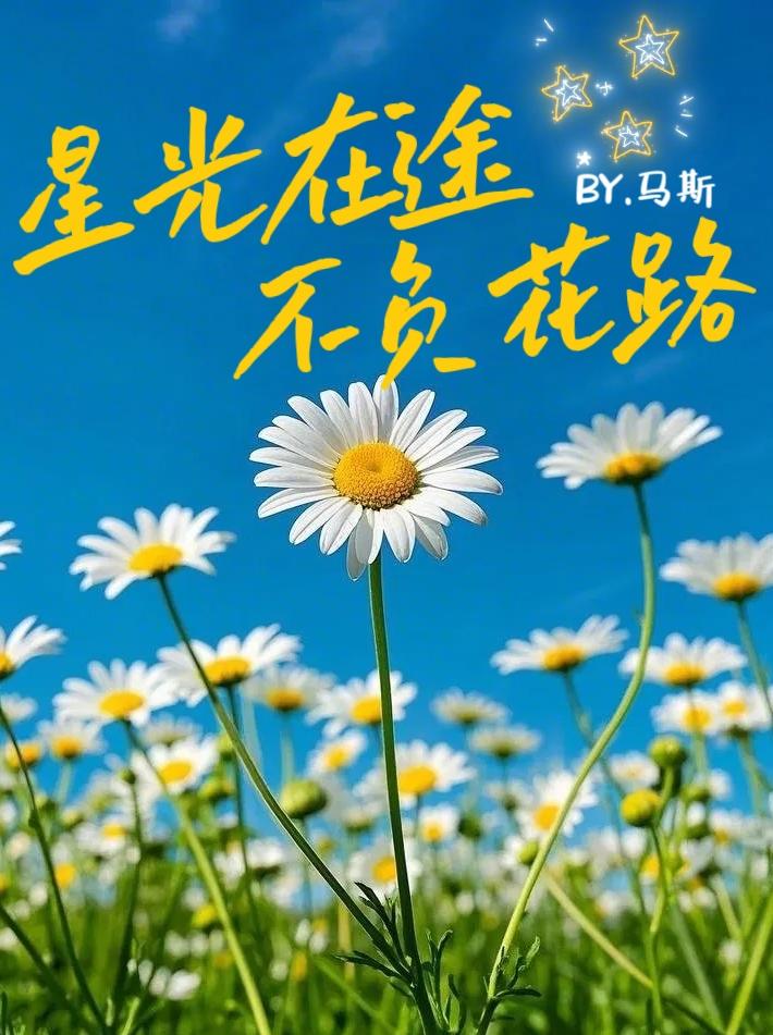 【权G龙】星光在途不负花路