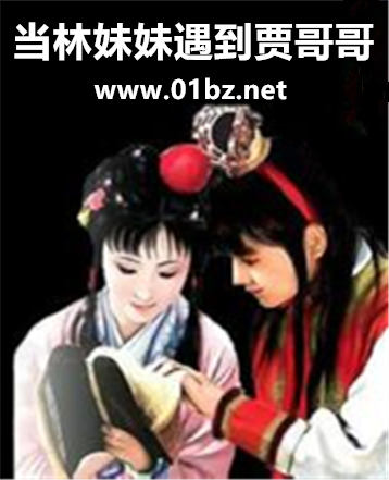 当林妹妹遇到贾哥哥