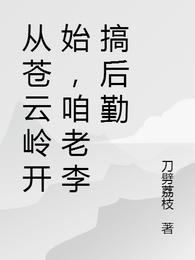 从苍云岭开始，咱老李搞后勤