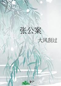 张公案