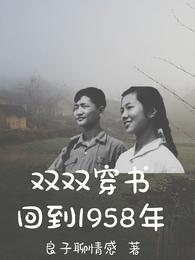 双双穿书回到1958年