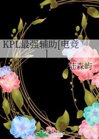 KPL最强辅助[电竞]