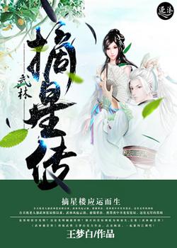 武林摘星传