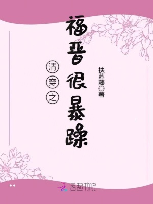 清穿之福晋很暴躁