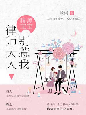 腹黑宝宝：律师大人别惹我