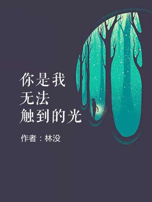 你是我无法触到的光